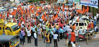 Strong Hindu organization is necessary